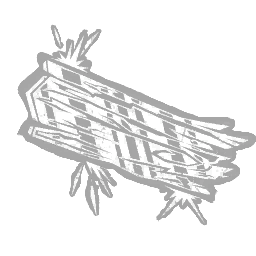 Iridescent Wooden Plank